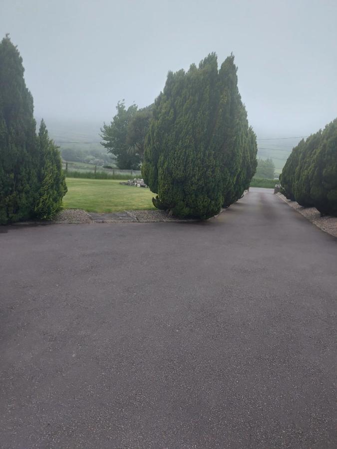 Amberley Guest House Gorey Exterior foto